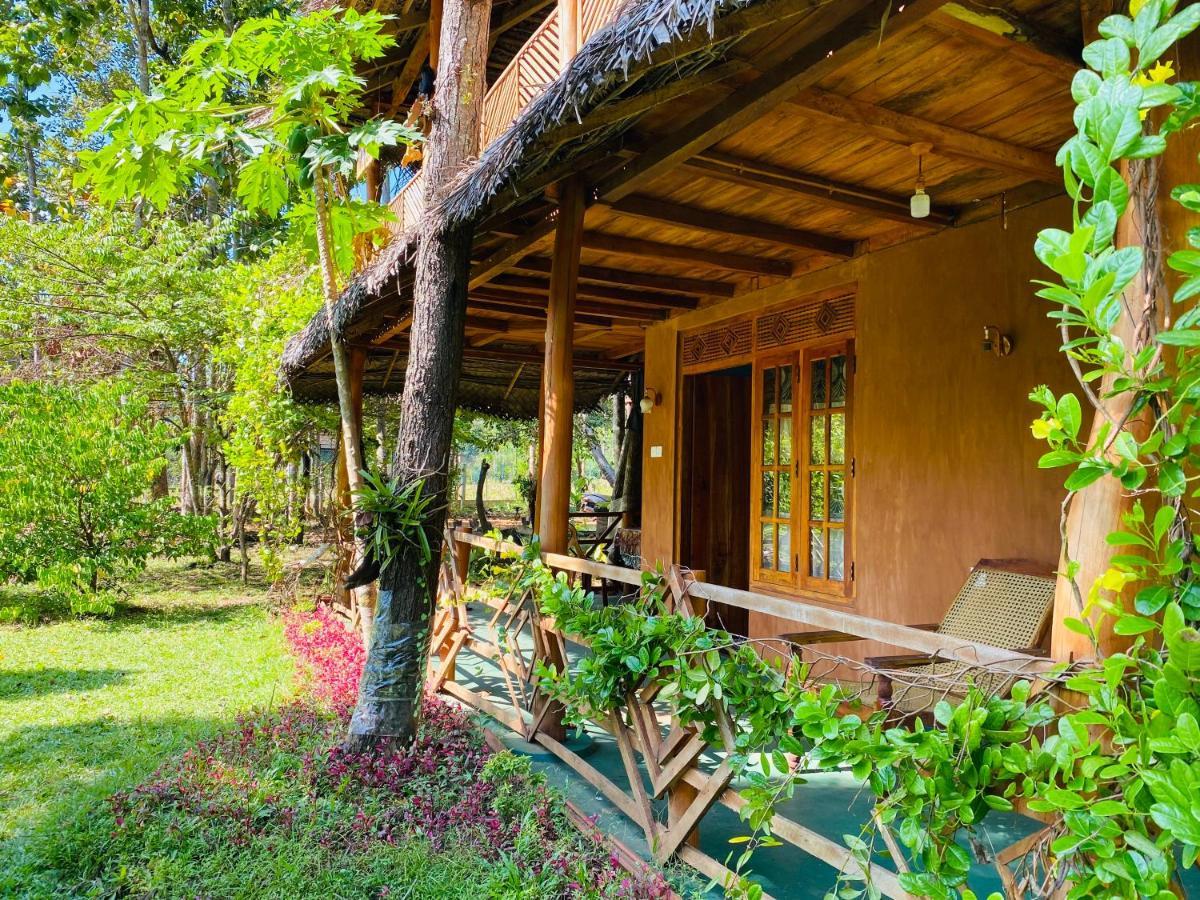 Sigiri Lion Eco Palace Сігірія Екстер'єр фото