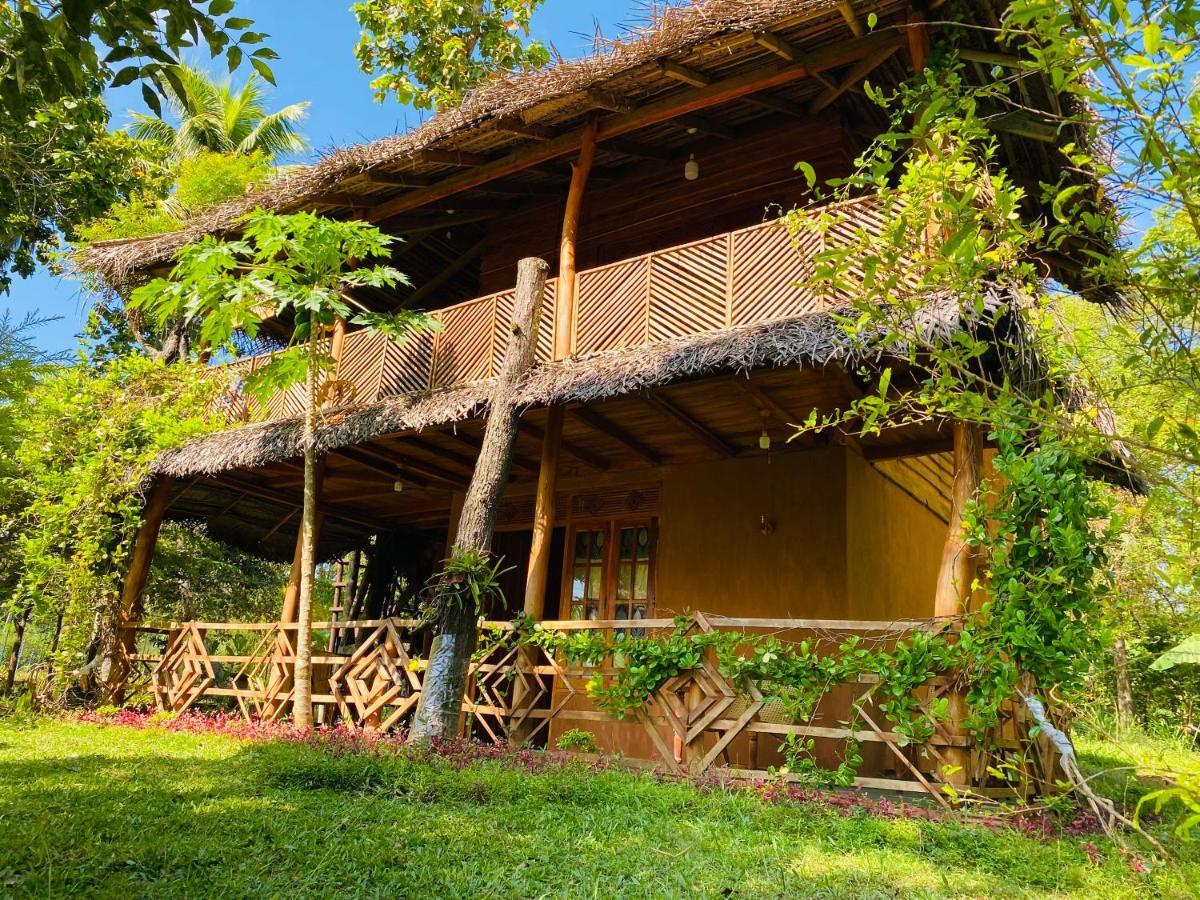 Sigiri Lion Eco Palace Сігірія Екстер'єр фото